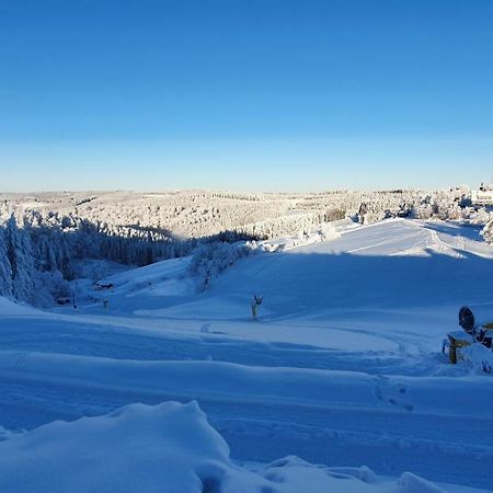 Haus Schneider Apartman Winterberg Kültér fotó