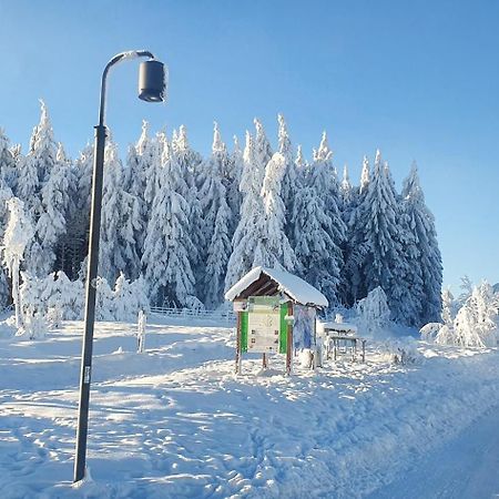 Haus Schneider Apartman Winterberg Kültér fotó