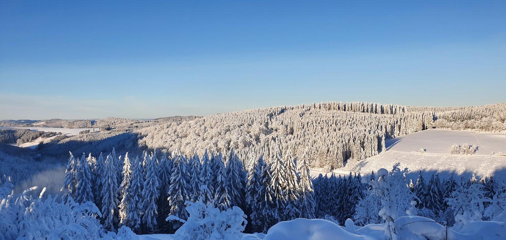 Haus Schneider Apartman Winterberg Kültér fotó